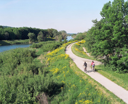 Traisental-Radweg